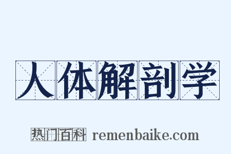 人体解剖学是什么意思的图片